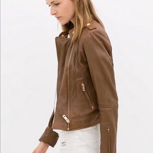 Zara Brown Leather jacket with Gold hardware